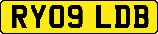 RY09LDB