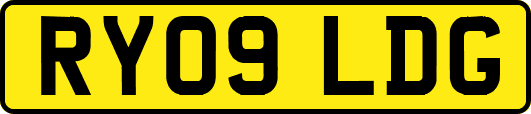 RY09LDG