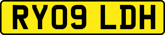 RY09LDH