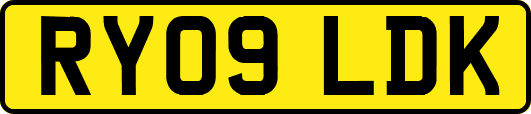RY09LDK