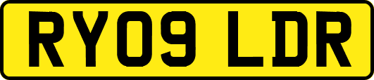 RY09LDR