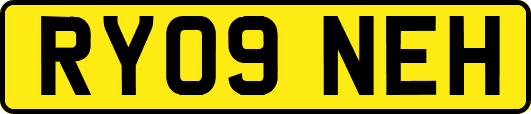 RY09NEH