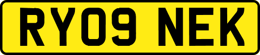 RY09NEK