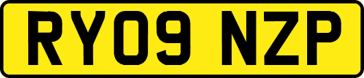 RY09NZP