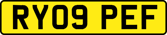 RY09PEF