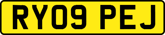 RY09PEJ