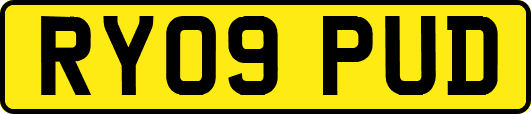 RY09PUD