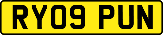 RY09PUN