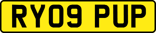 RY09PUP