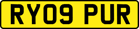 RY09PUR