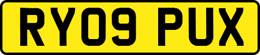 RY09PUX