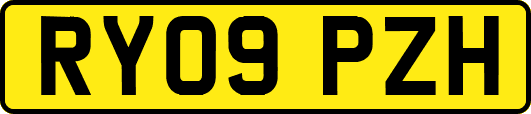 RY09PZH