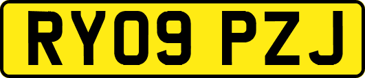 RY09PZJ