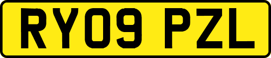 RY09PZL