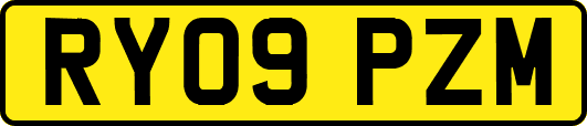 RY09PZM