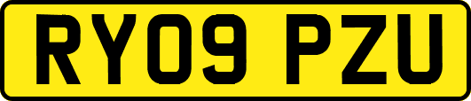 RY09PZU
