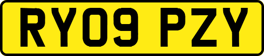 RY09PZY