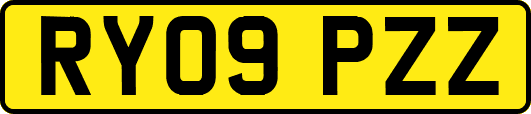 RY09PZZ