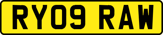 RY09RAW