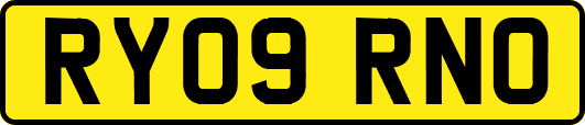 RY09RNO