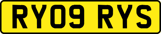 RY09RYS