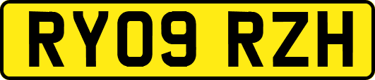 RY09RZH