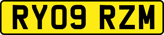 RY09RZM