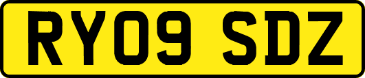RY09SDZ