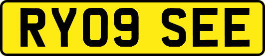RY09SEE