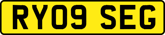 RY09SEG