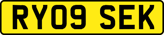 RY09SEK