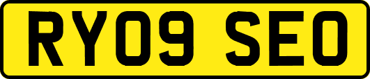 RY09SEO