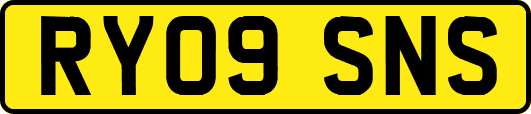 RY09SNS