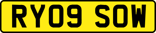 RY09SOW