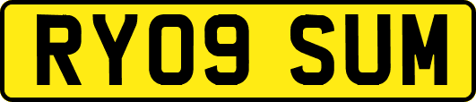 RY09SUM