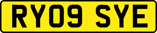 RY09SYE