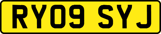 RY09SYJ