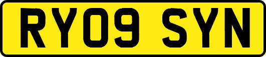 RY09SYN