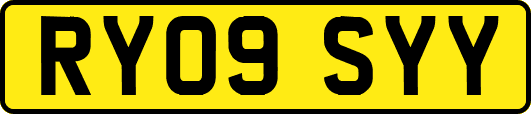 RY09SYY