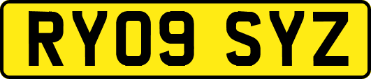 RY09SYZ