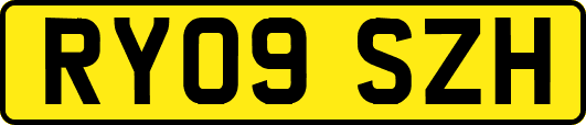 RY09SZH