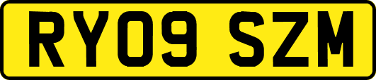 RY09SZM