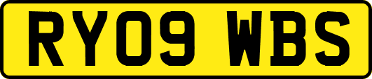 RY09WBS
