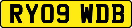 RY09WDB