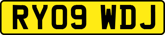 RY09WDJ