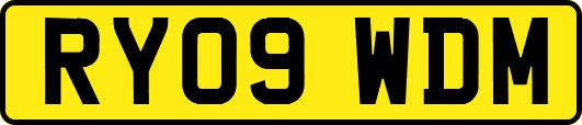 RY09WDM