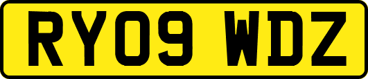 RY09WDZ