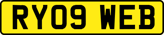 RY09WEB