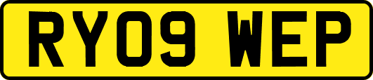 RY09WEP