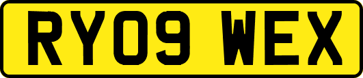 RY09WEX
